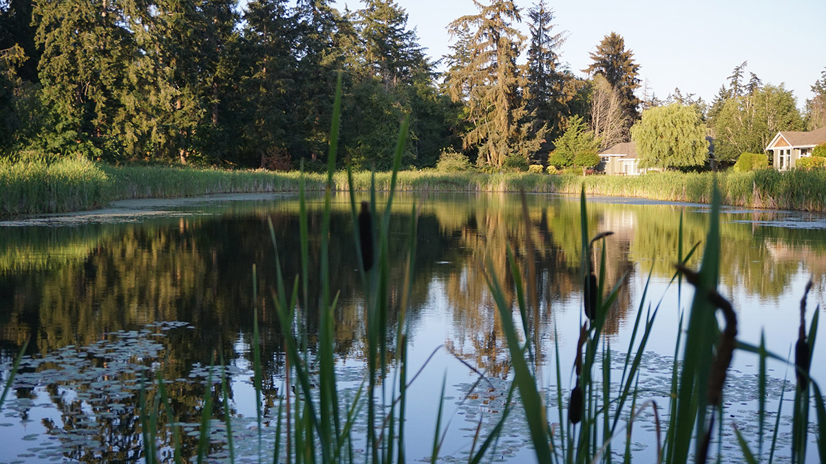Canada photo 7