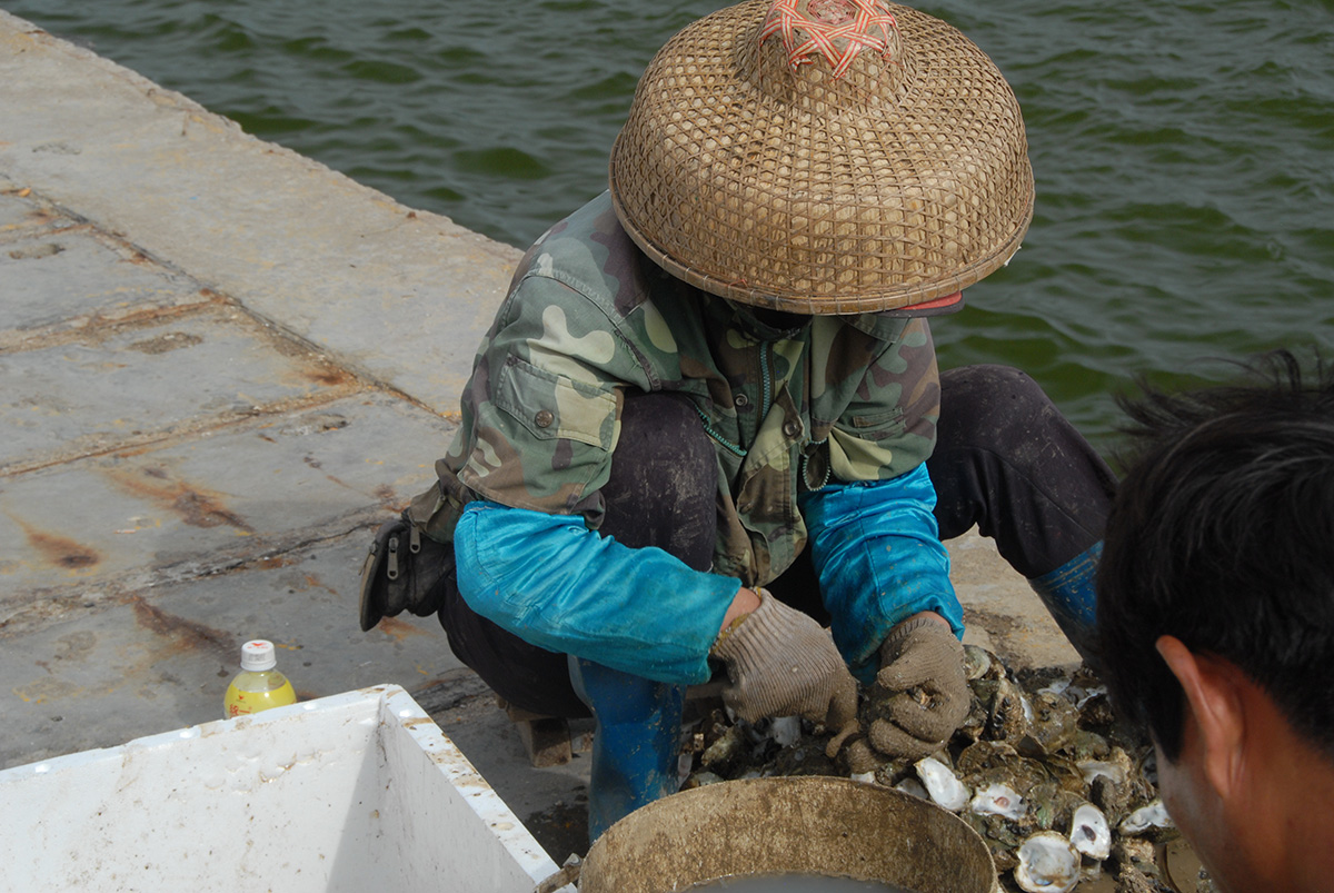 China photo 12