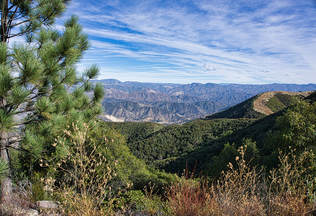 US photo 15