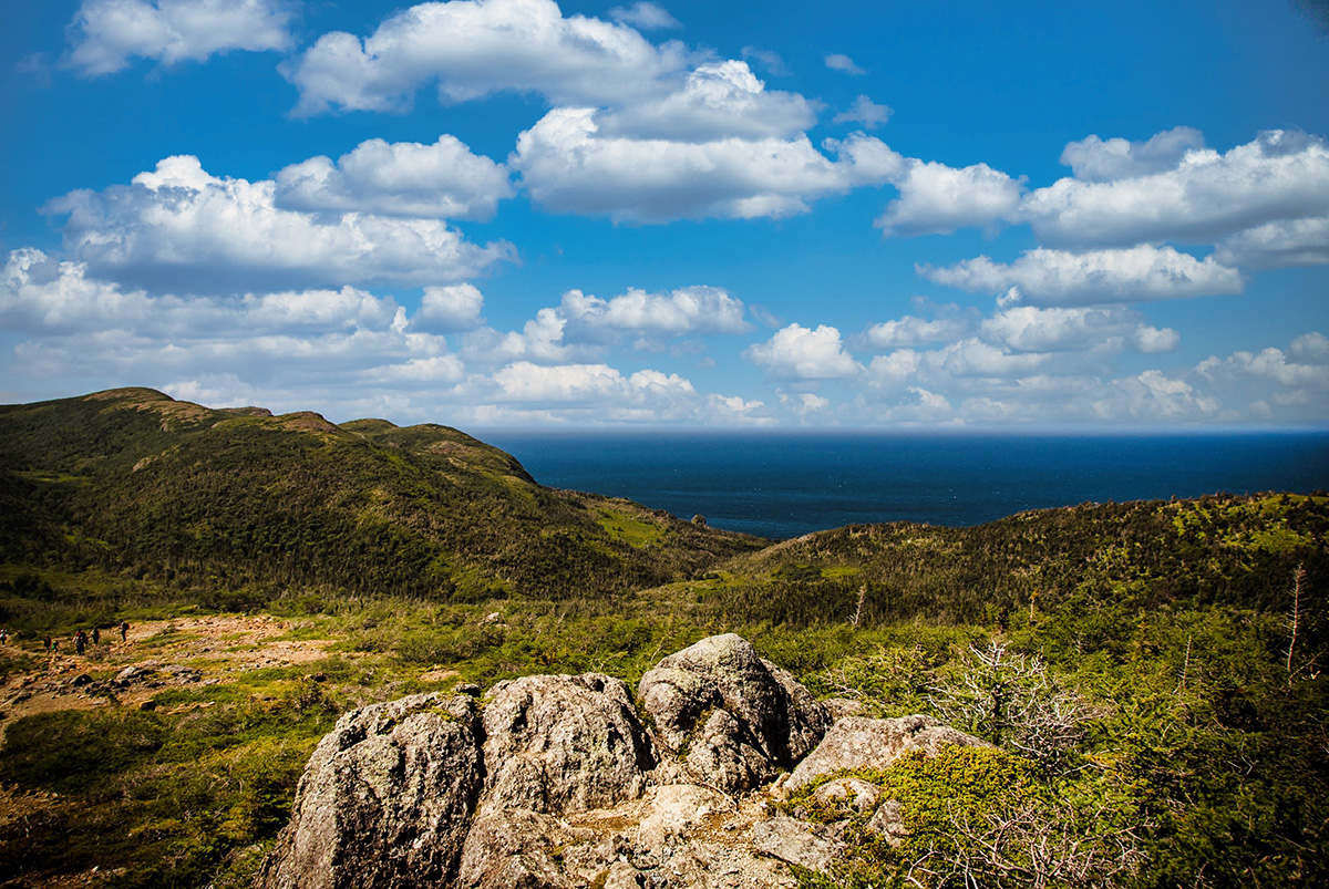 Trail photo 5