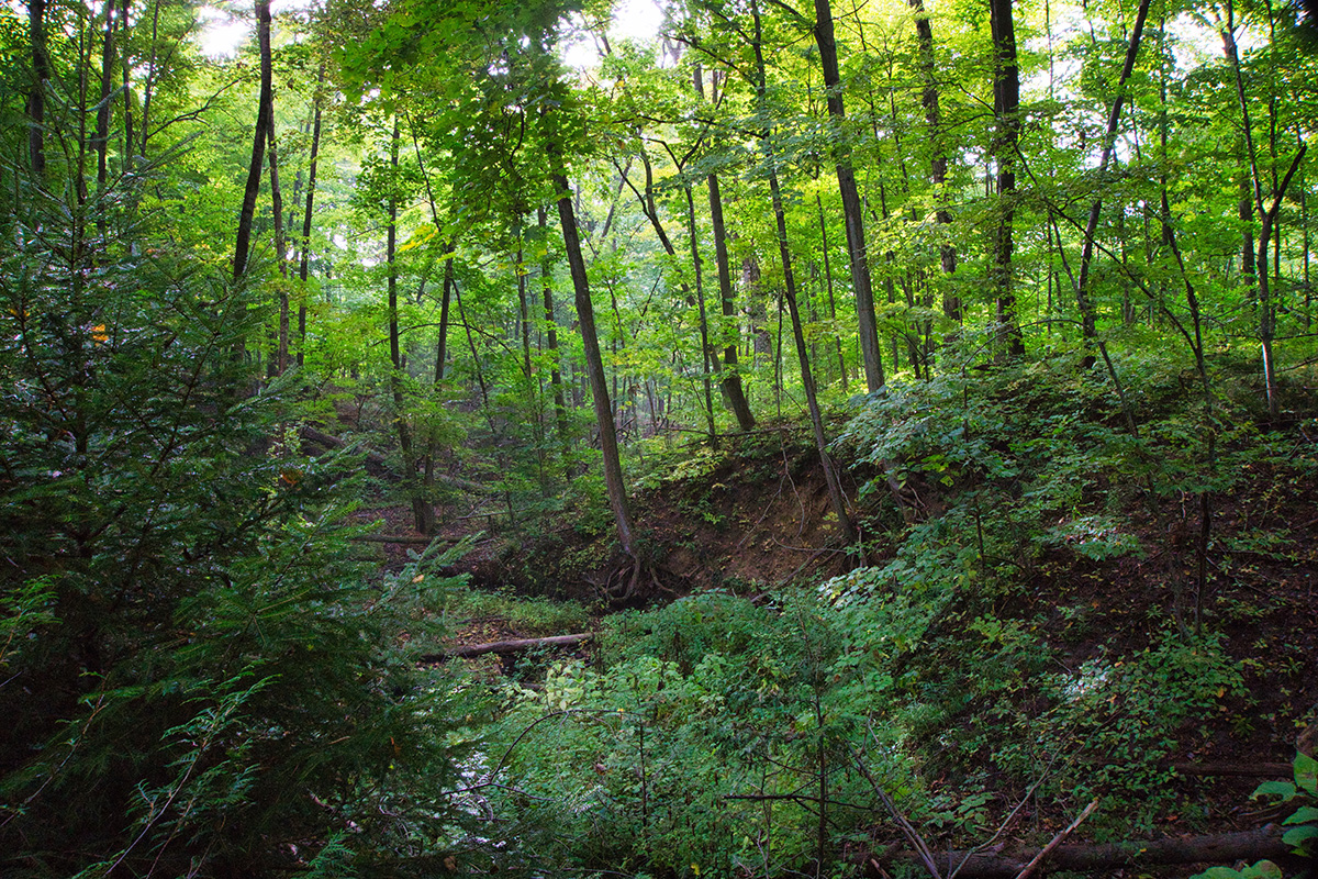 Trail photo 7