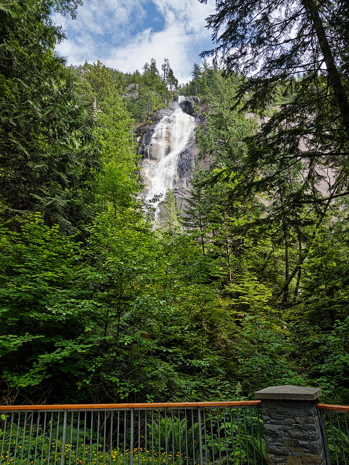 Trail photo 13